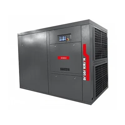 Безмасляный винтовой компрессор DALGAKIRAN EAGLE 110W-10 VSD