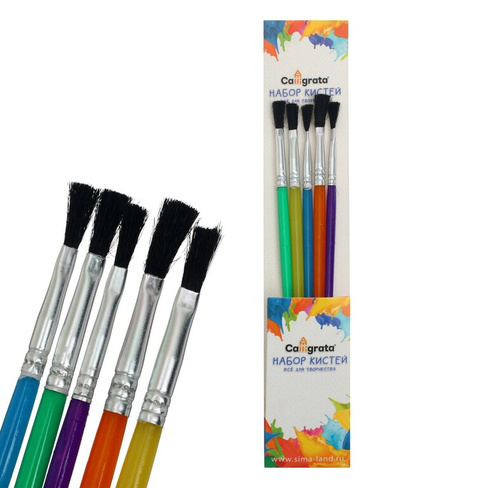 Набор кистей нейлон 5 штук, плоские, с пластиковыми цветными ручками Calligrata